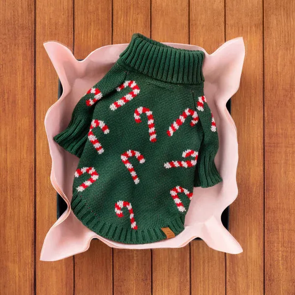 candy cane dog sweater - xxs left