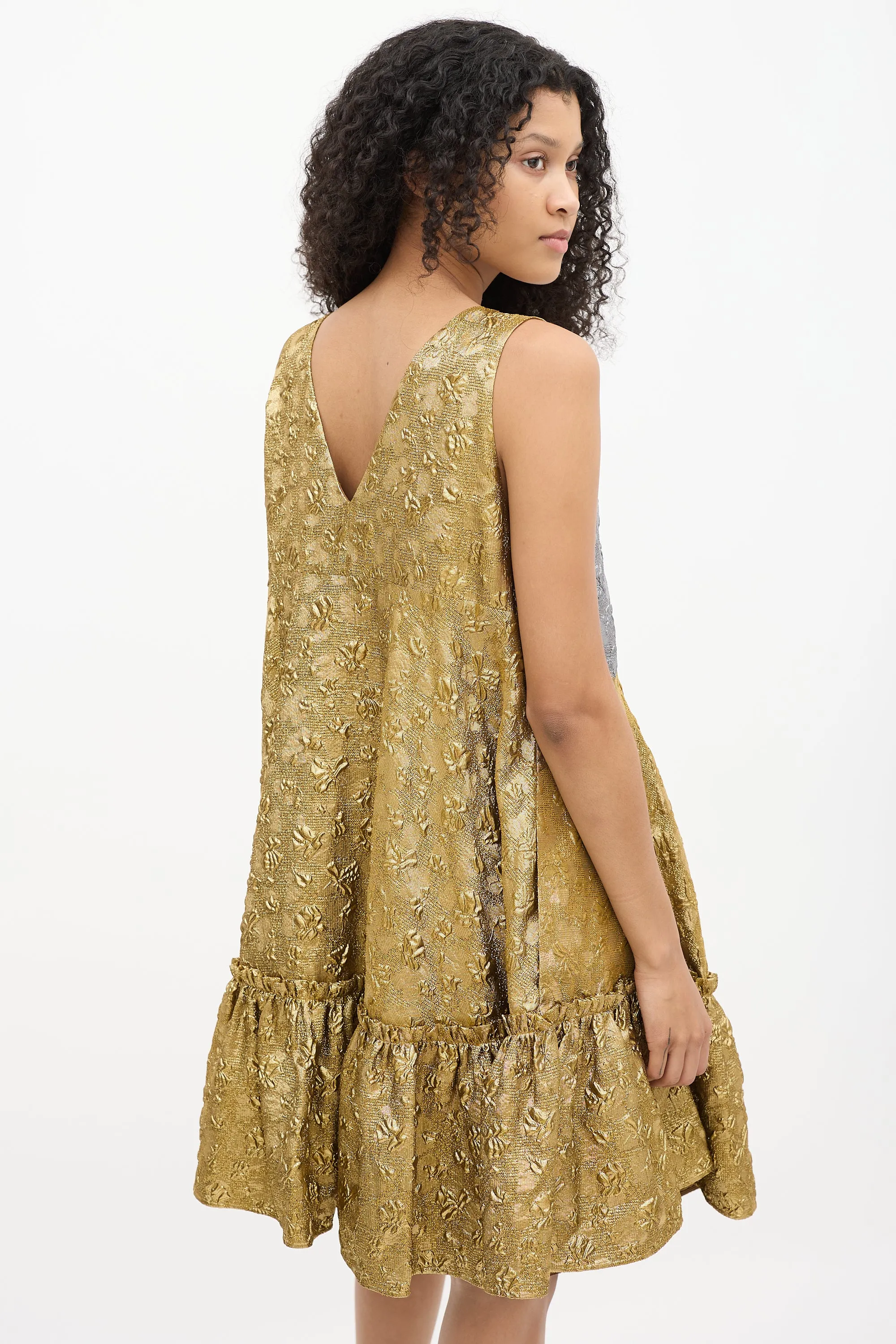 Gold & Silver Textured Brocade Dress